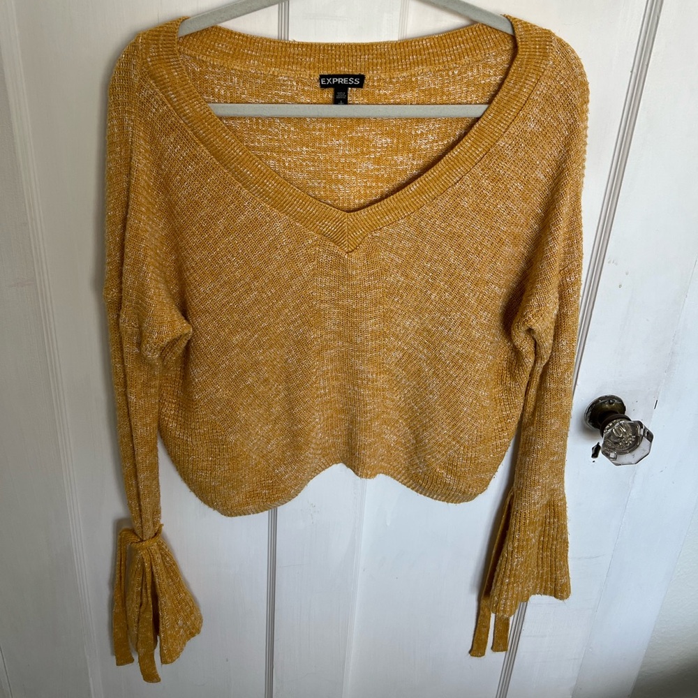 Express Golden Knit Top